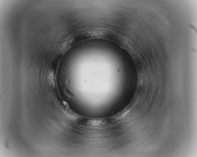 X0000096420575200802071705