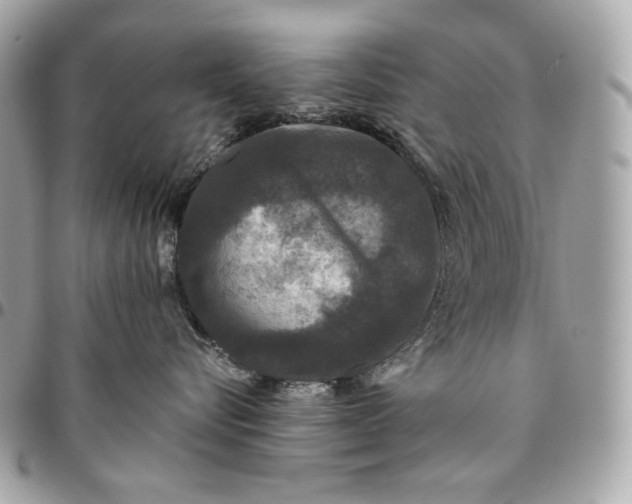 X0000096420576200802071705