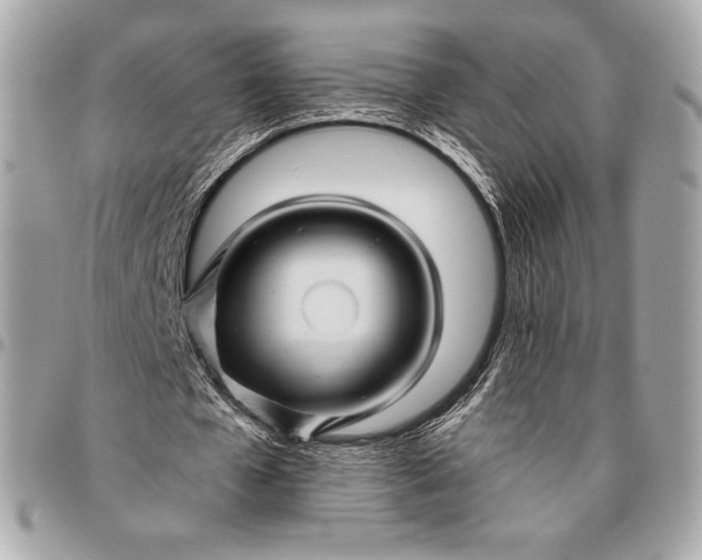 X0000096420577200802071705