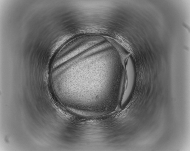 X0000096420578200802071705