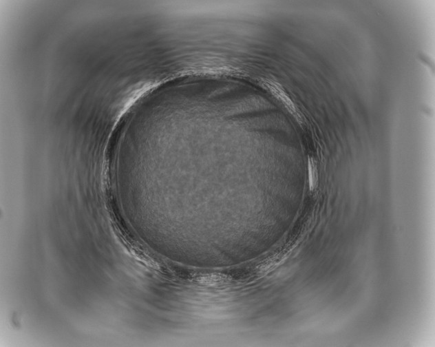 X0000096420579200802071705