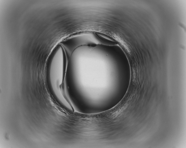 X0000096420580200802071705