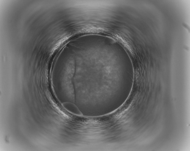 X0000096420581200802071705