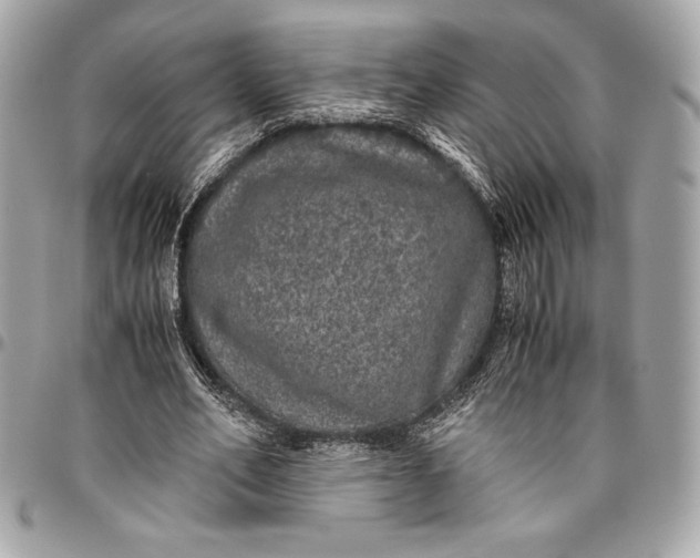 X0000096420582200802071705