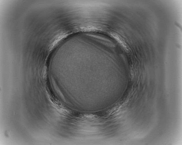 X0000096420583200802071705