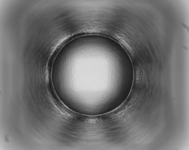 X0000096420584200802071705