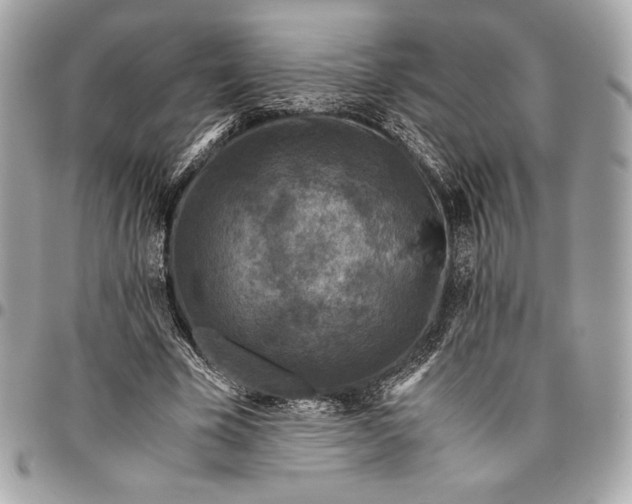 X0000096420585200802071705