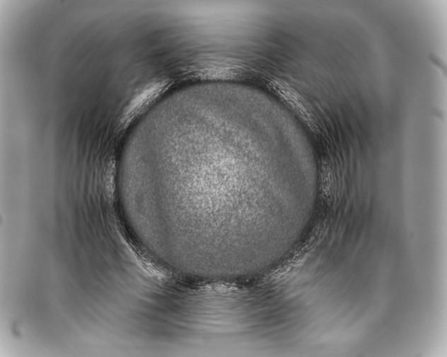 X0000096420586200802071705