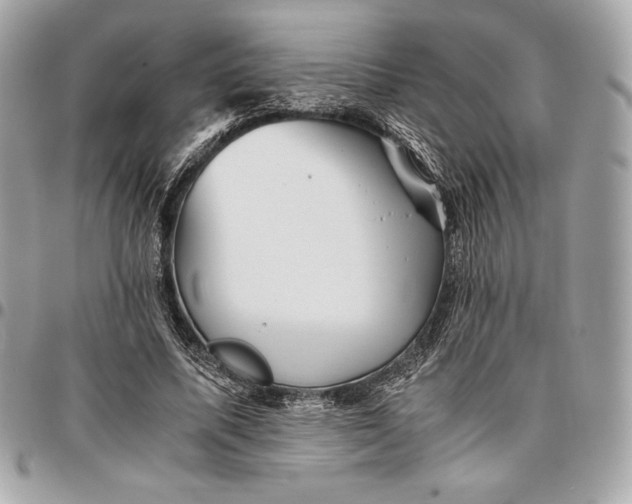 X0000096420587200802071705