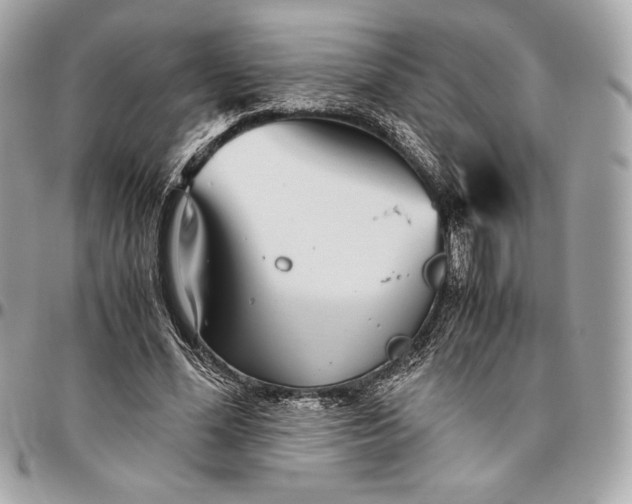 X0000096420588200802071705