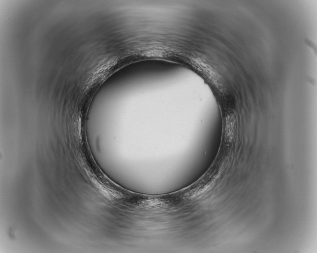 X0000096420589200802071705