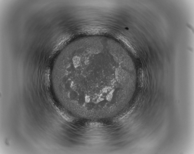 X0000096420590200802071705