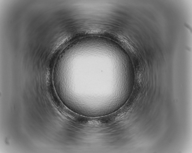 X0000096420591200802071705