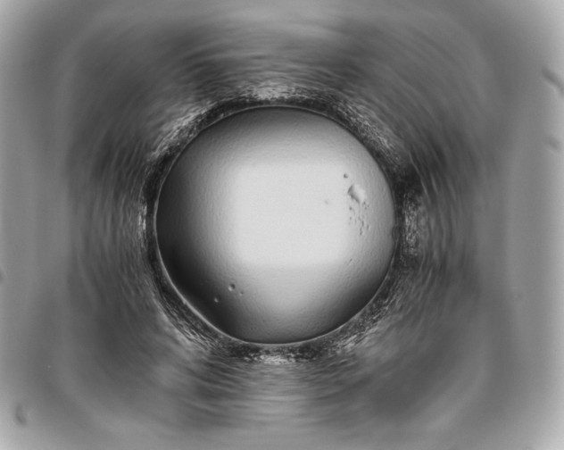 X0000096420592200802071705