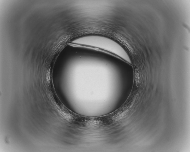 X0000096420593200802071705