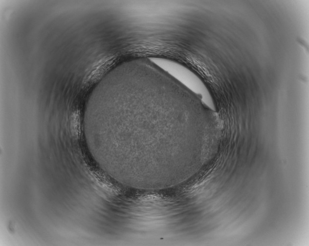 X0000096420594200802071705