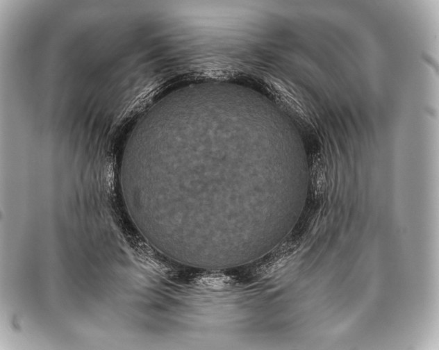 X0000096420595200802071704