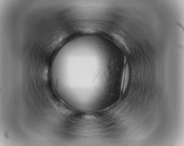 X0000096420596200802071704