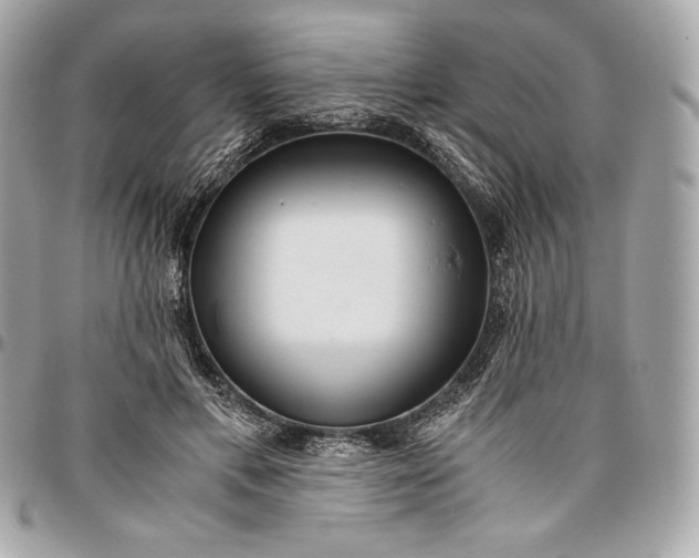 X0000096420597200802071704