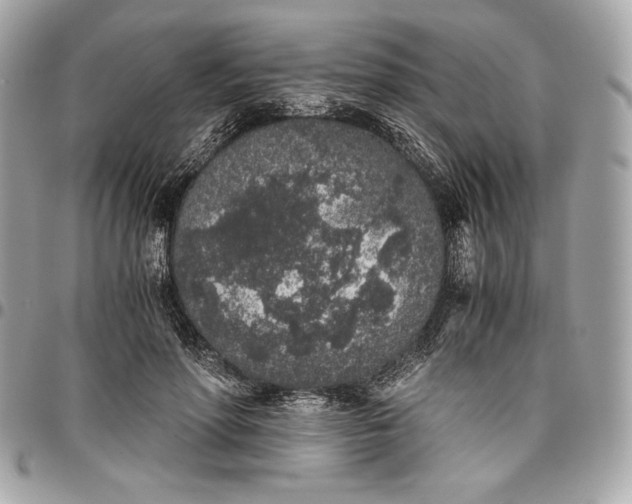 X0000096420598200802071704