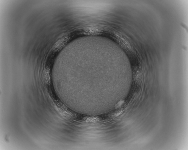 X0000096420599200802071704