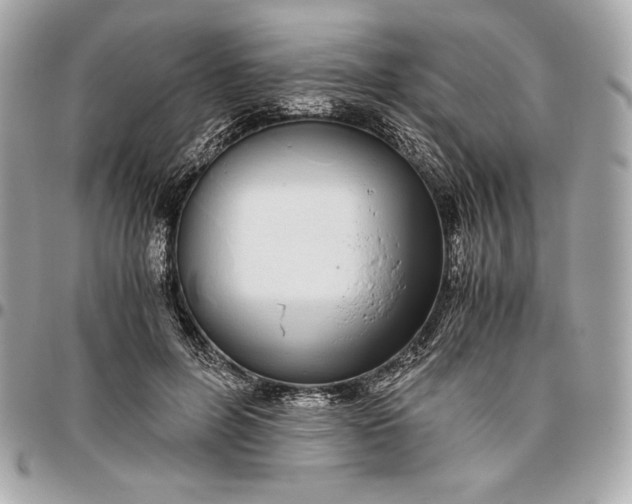 X0000096420600200802071704