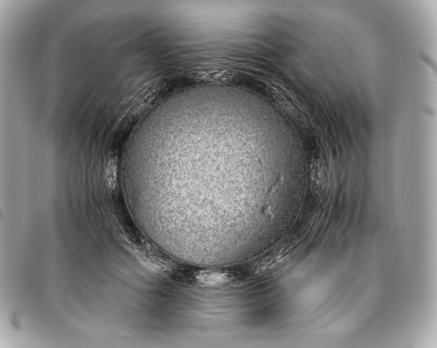 X0000096420602200802071704