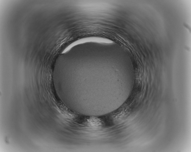 X0000096420603200802071704