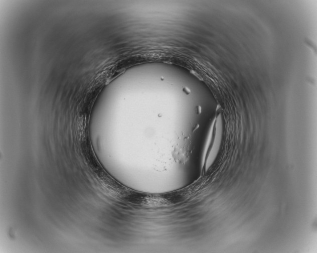 X0000096420605200802071704