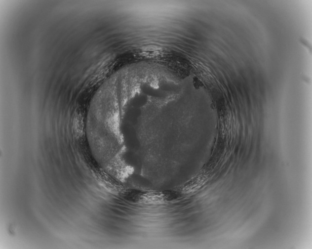 X0000096420606200802071704