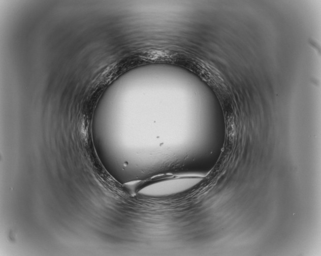 X0000096420607200802071704