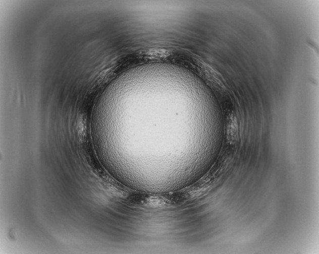 X0000096420608200802071704