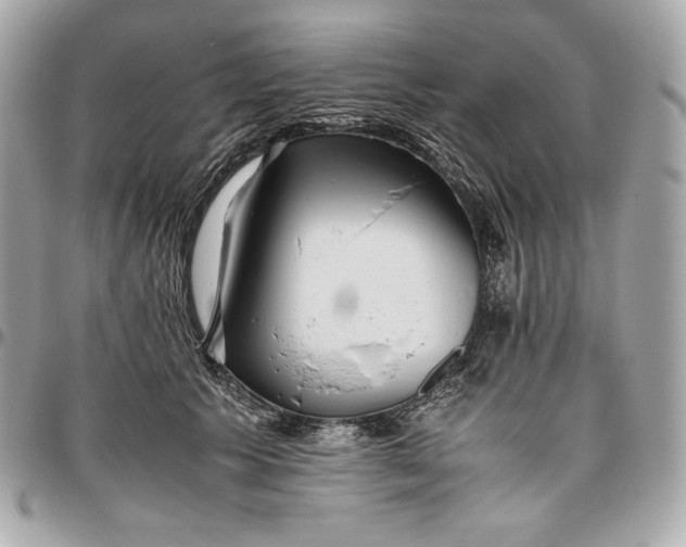 X0000096420609200802071704