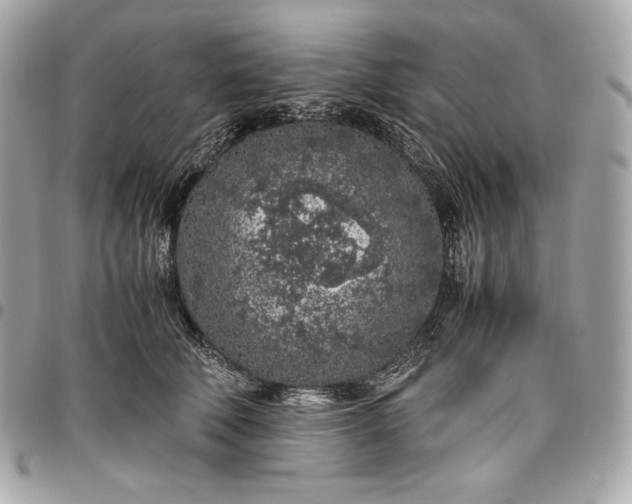 X0000096420610200802071704