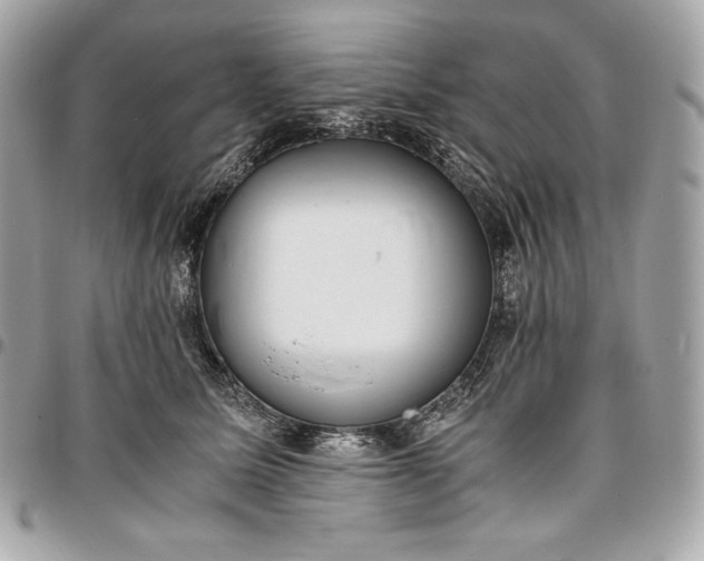 X0000096420611200802071704