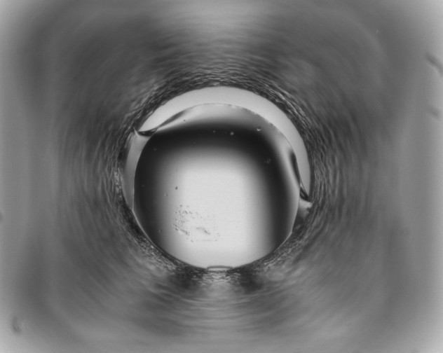 X0000096420613200802071704