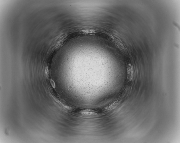 X0000096420614200802071704