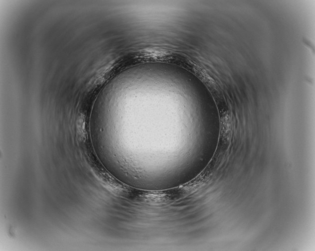 X0000096420615200802071704