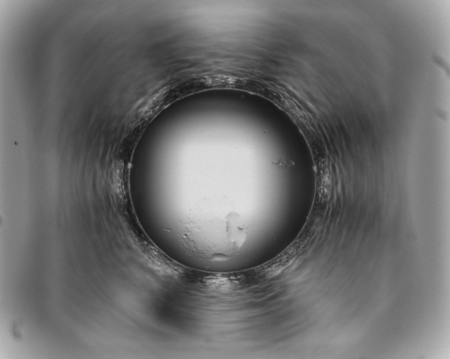 X0000096420616200802071704