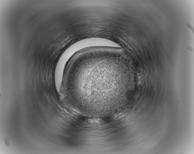 X0000096420618200802071704