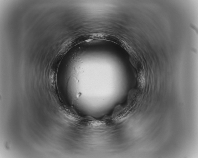 X0000096420619200802071704