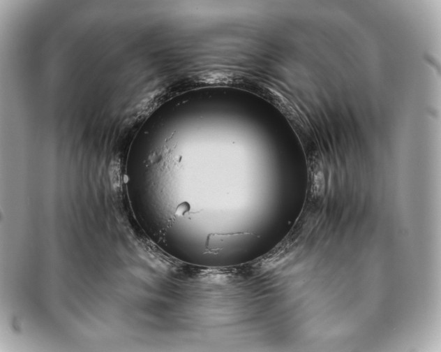 X0000096420620200802071704