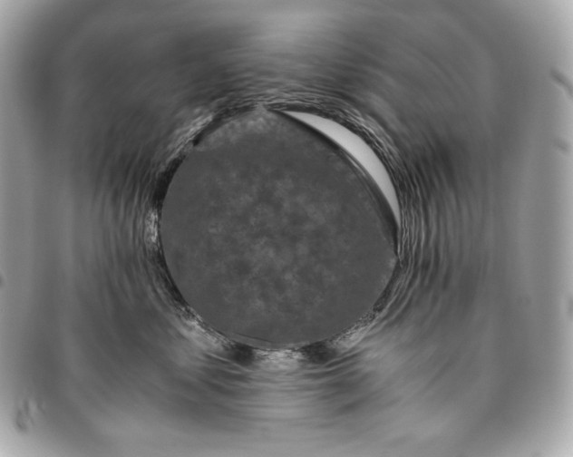 X0000096420621200802071704