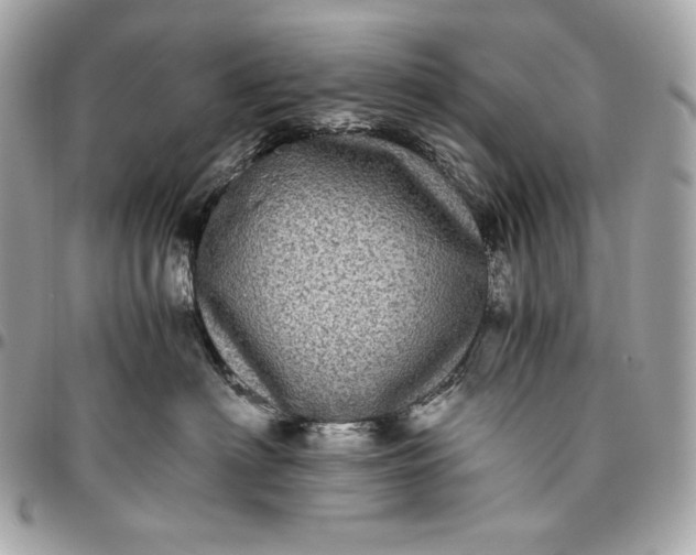 X0000096420622200802071704