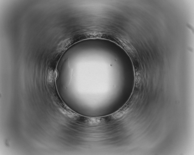 X0000096420623200802071704