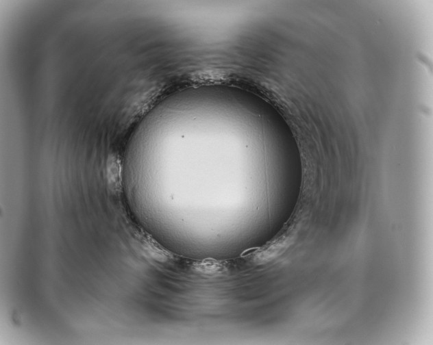 X0000096420624200802071704