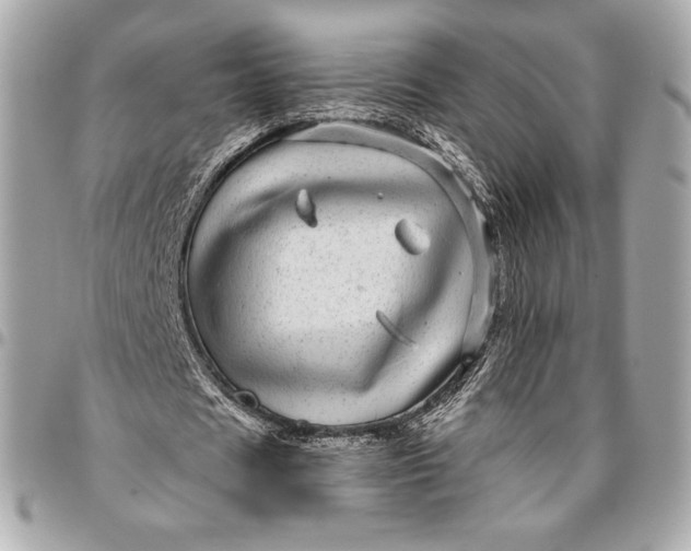 X0000096420625200802071703