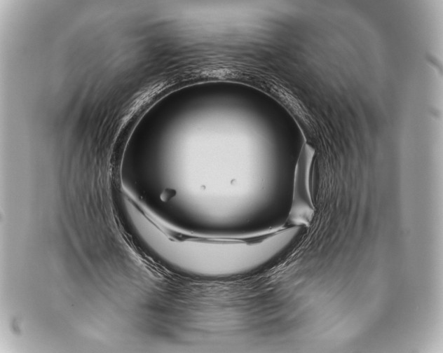 X0000096420626200802071703