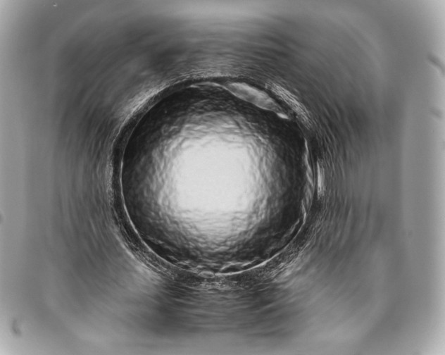 X0000096420627200802071703