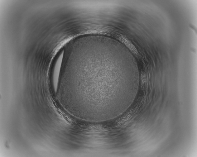 X0000096420628200802071703